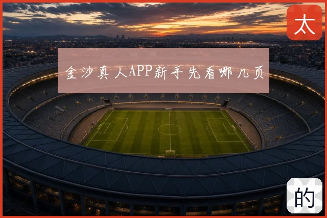 金沙真人APP新手先看哪几页