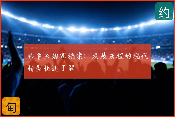 弗鲁米嫩塞档案:发展历程的现代转型快速了解